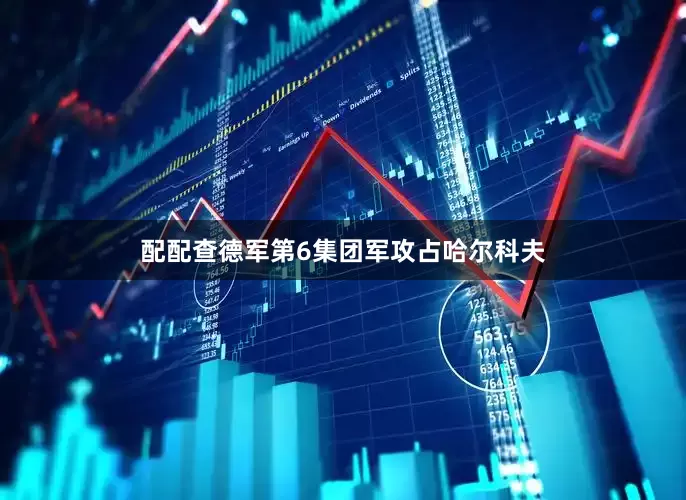配配查德军第6集团军攻占哈尔科夫
