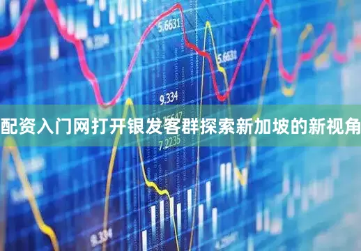 配资入门网打开银发客群探索新加坡的新视角