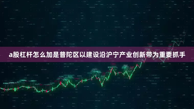a股杠杆怎么加是普陀区以建设沿沪宁产业创新带为重要抓手