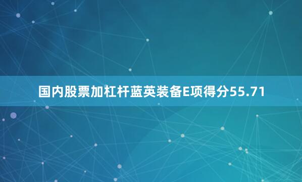 国内股票加杠杆蓝英装备E项得分55.71