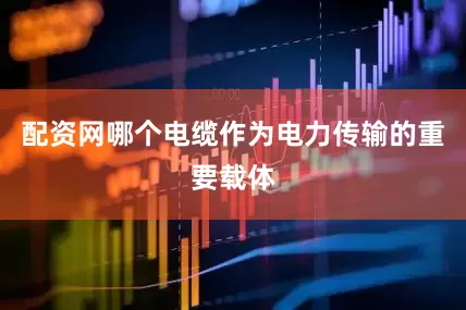 配资网哪个电缆作为电力传输的重要载体