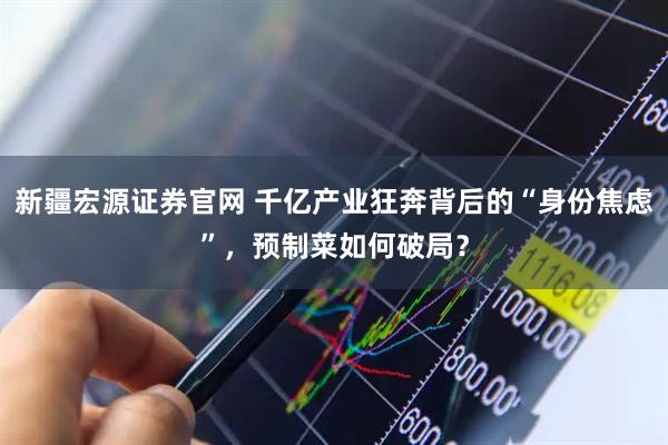 新疆宏源证券官网 千亿产业狂奔背后的“身份焦虑”，预制菜如何破局？