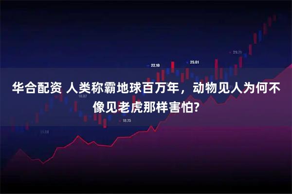华合配资 人类称霸地球百万年，动物见人为何不像见老虎那样害怕?