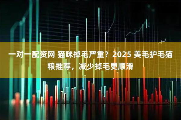 一对一配资网 猫咪掉毛严重？2025 美毛护毛猫粮推荐，减少掉毛更顺滑