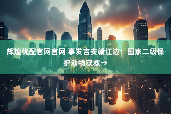 辉煌优配官网官网 事发吉安赣江边！国家二级保护动物获救→
